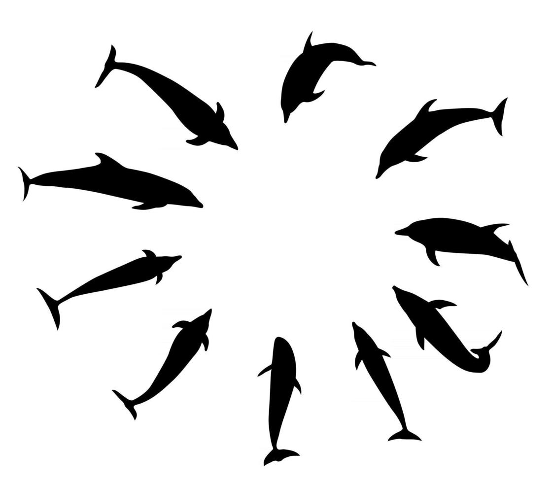 Set of black dolphins in different variants. Jump, fly, swim and dive vector