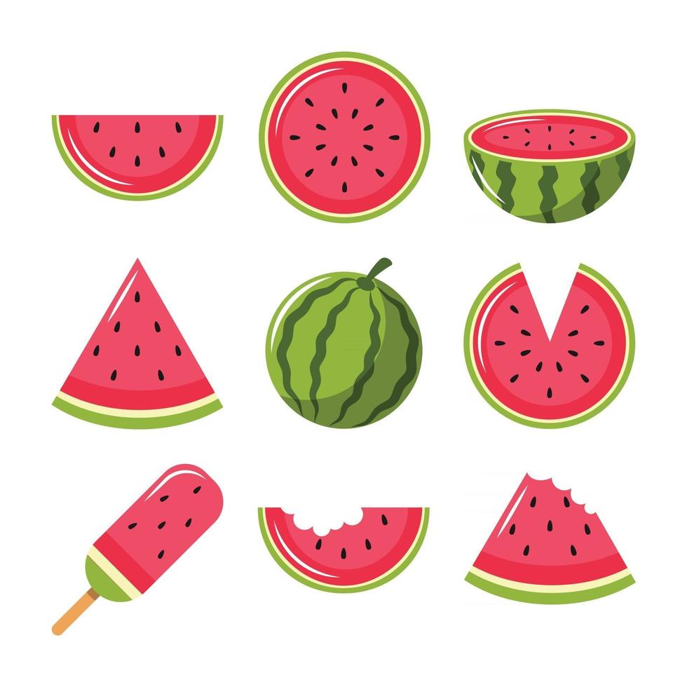 frutas de sandía para el verano vector