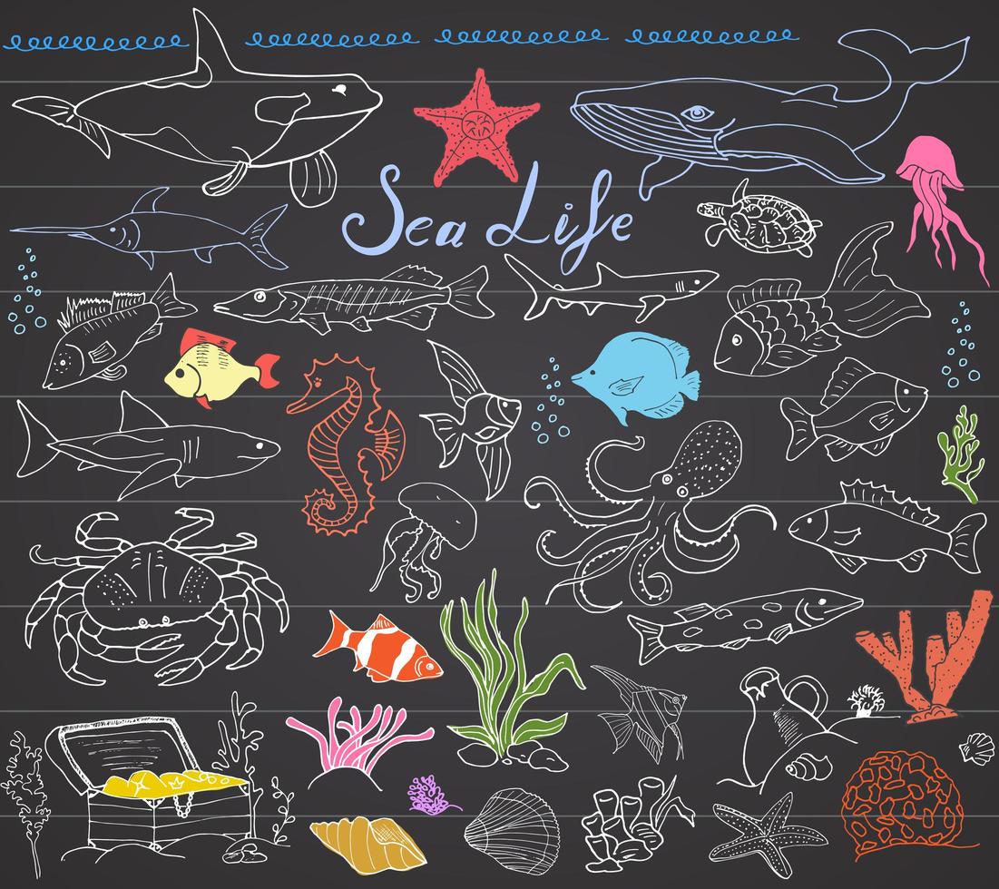 Big sea life animals hand drawn sketch set doodles of fish shark octopus starfish and crab whale and sea turtle seahorse and seashells and lettering on chalkboard vector