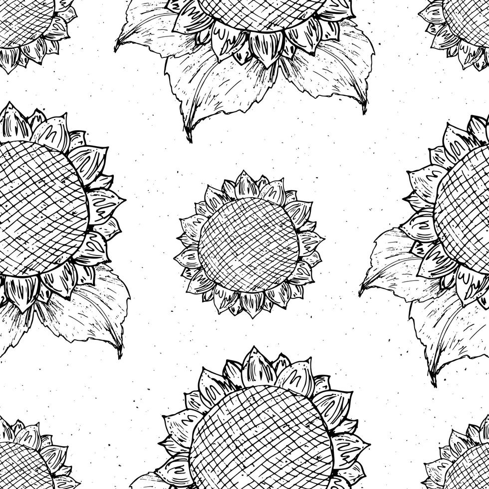 Sunflower seamless pattern hand drawn sketch, background, typography design vector illustration
