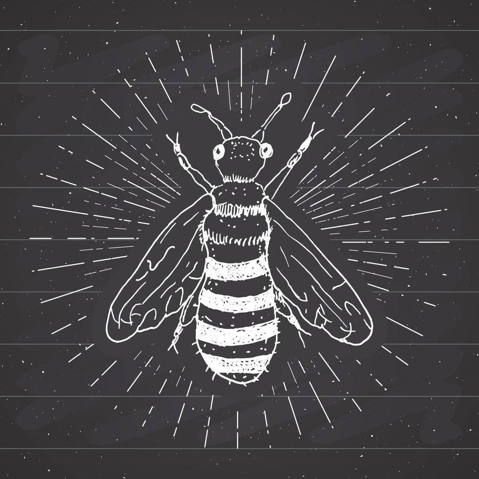 etiqueta vintage, abeja dibujada a mano, insignia con textura grunge, plantilla de logotipo retro, ilustración de vector de diseño de tipografía en pizarra