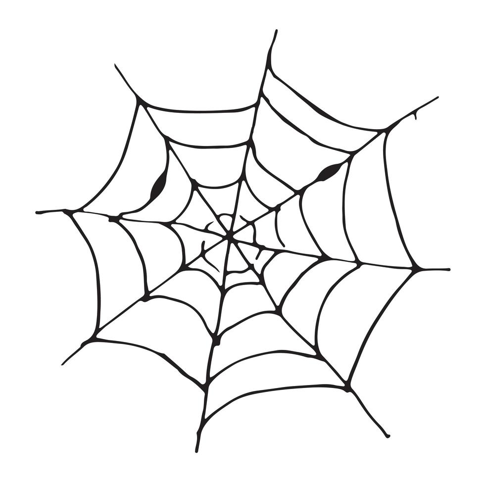 Tela de araña dibujada a mano ilustración de vector de web bosquejado aislado sobre fondo blanco