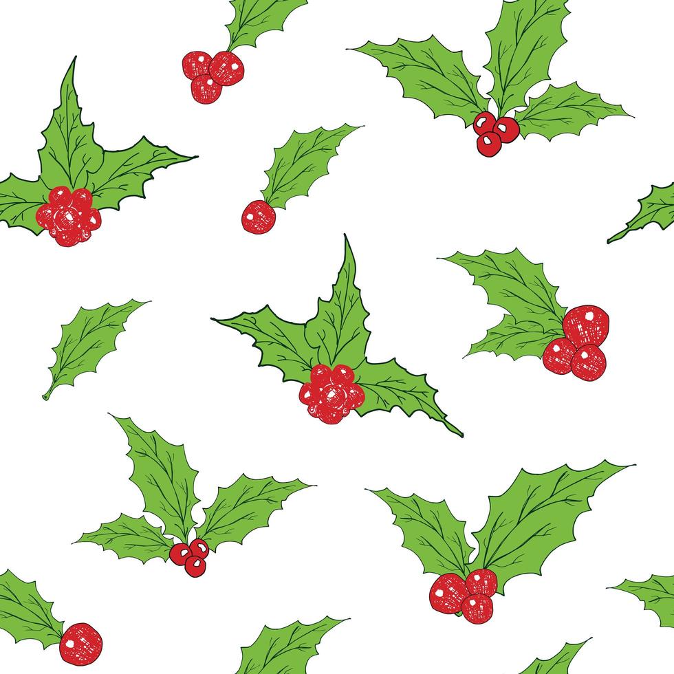 Holly Leaves and Red Berries hand drawn sketch retro, vintage Seamless Pattern. Vector Illustration.