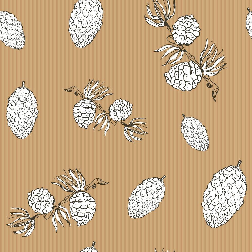 Pine cones hand drawn sketch retro, vintage Seamless Pattern. Vector Illustration.