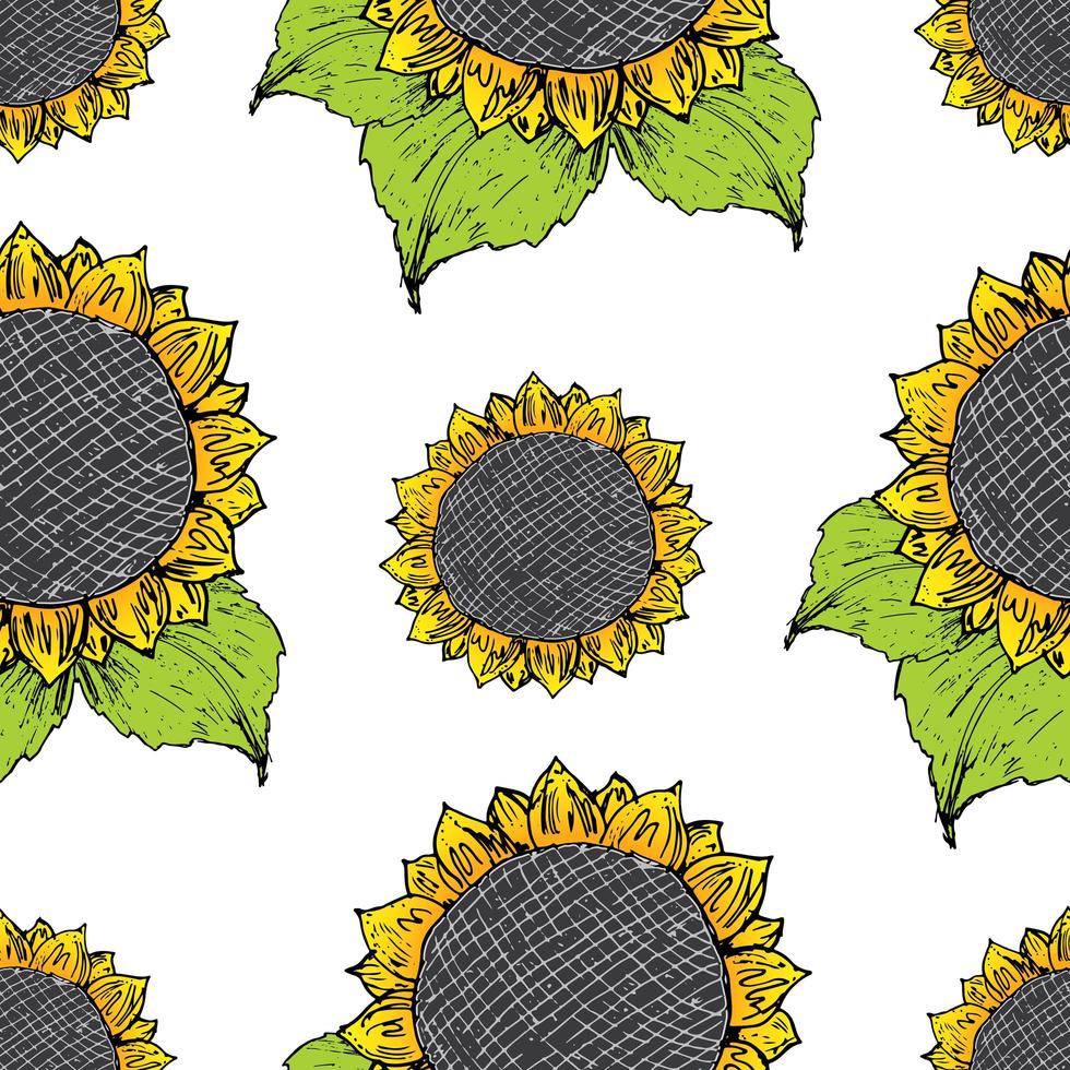 Sunflower seamless pattern hand drawn sketch, background, typography design vector illustration