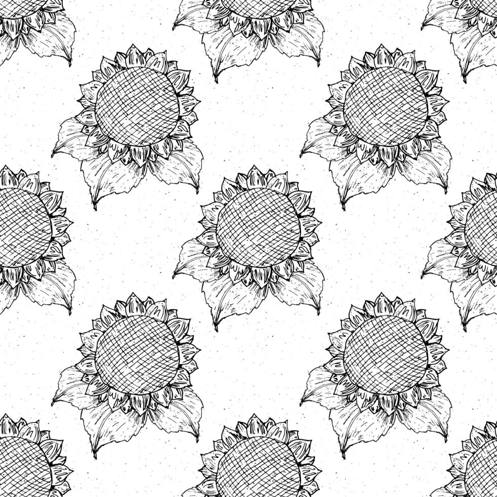 Sunflower seamless pattern hand drawn sketch, background, typography design vector illustration