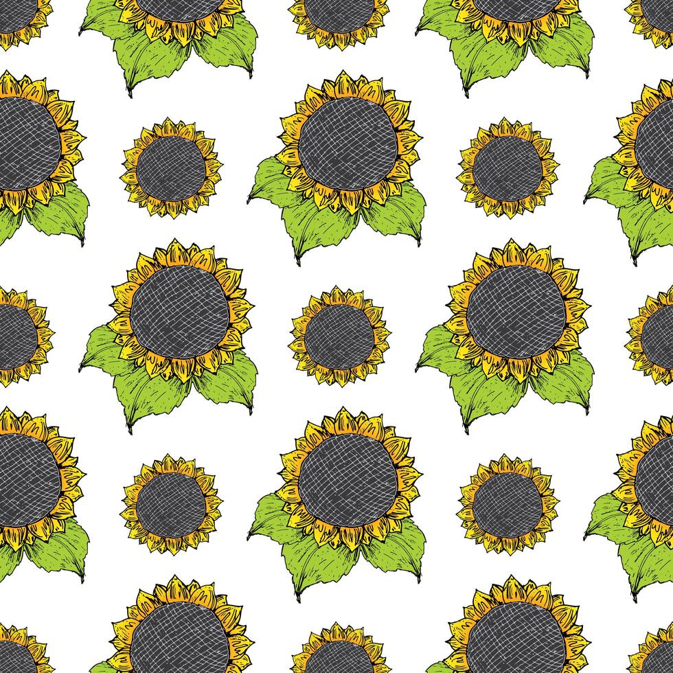 Sunflower seamless pattern hand drawn sketch, background, typography design vector illustration