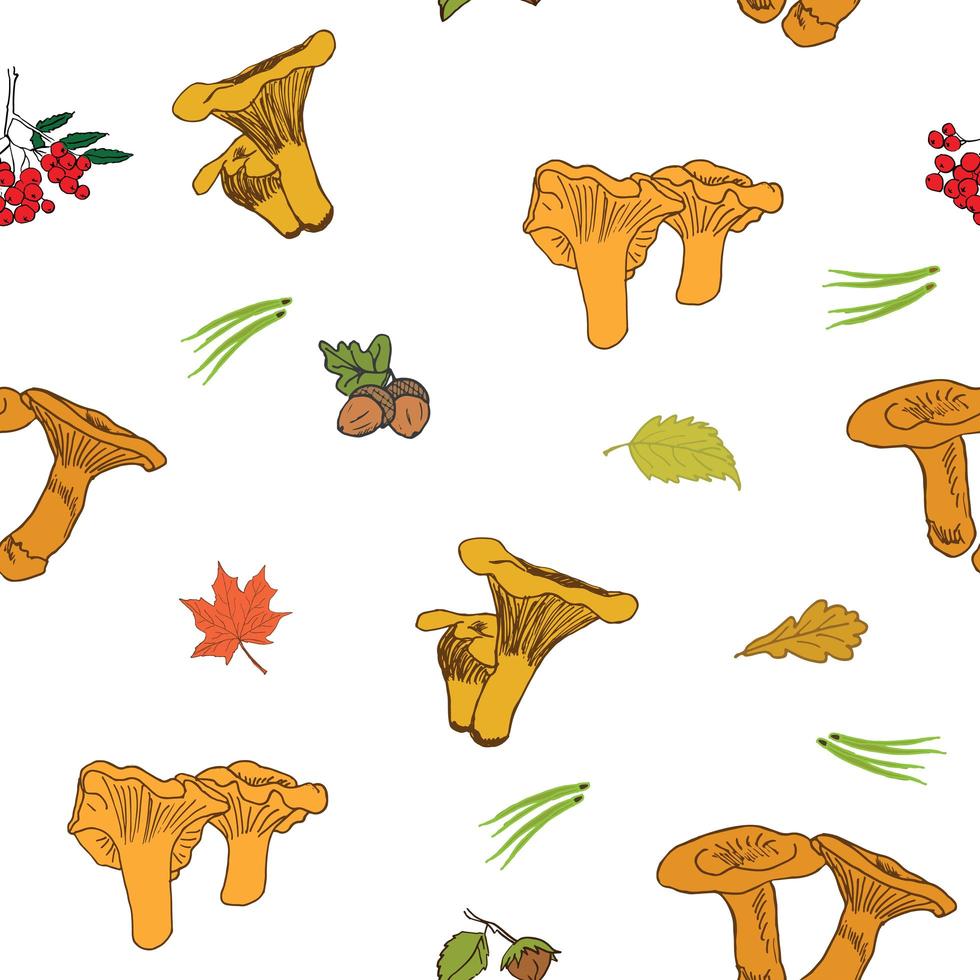 Mushroom hand drawn sketch Seamless Pattern. Vector Illustration.