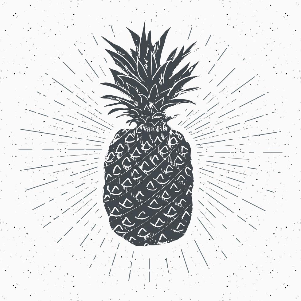 etiqueta vintage, piña dibujada a mano, plantilla de placa retro con textura grunge, ilustración de vector de diseño de tipografía