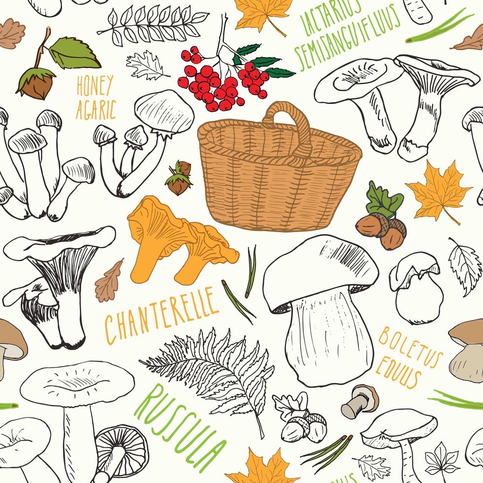 Mushroom hand drawn sketch Seamless Pattern. Vector Illustration.