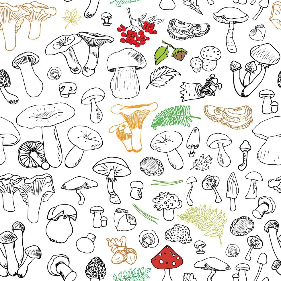 Mushroom hand drawn sketch Seamless Pattern. Vector Illustration.