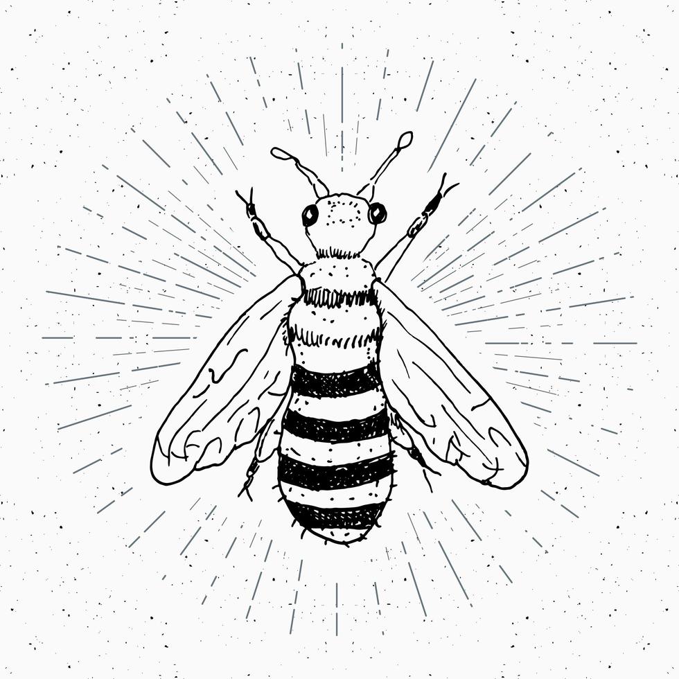 etiqueta vintage, abeja dibujada a mano, insignia con textura grunge, plantilla de logotipo retro, ilustración de vector de diseño de tipografía