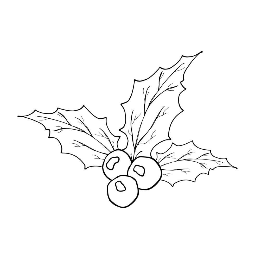 Holly Leaves and Berries hand drawn icon, Outline sketch doodle. Vector Illustration isolated on white.