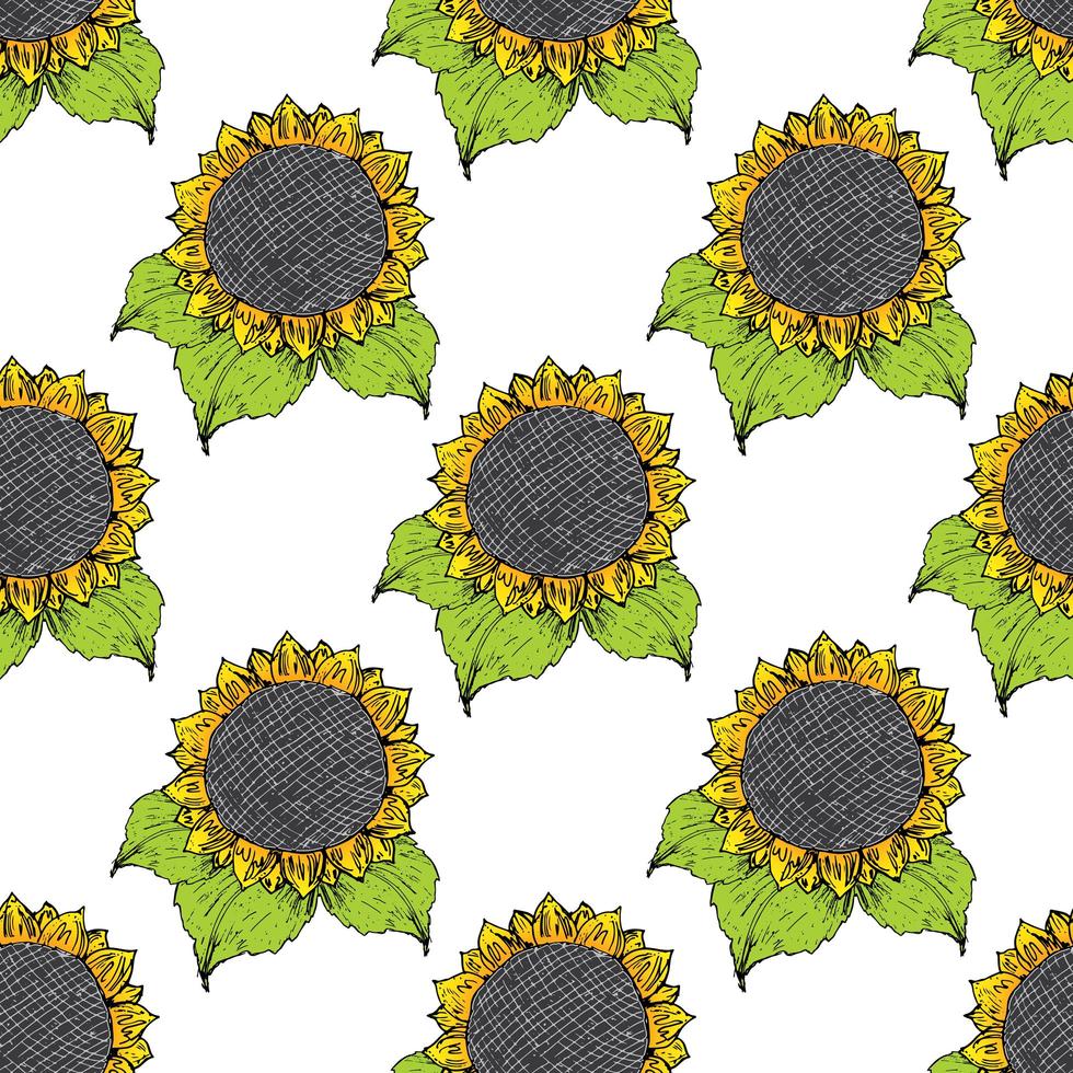 Sunflower seamless pattern hand drawn sketch, background, typography design vector illustration