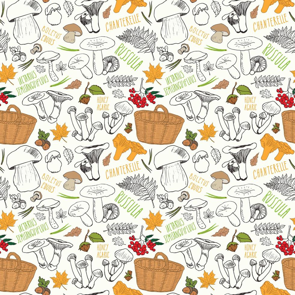 Mushroom hand drawn sketch Seamless Pattern. Vector Illustration.