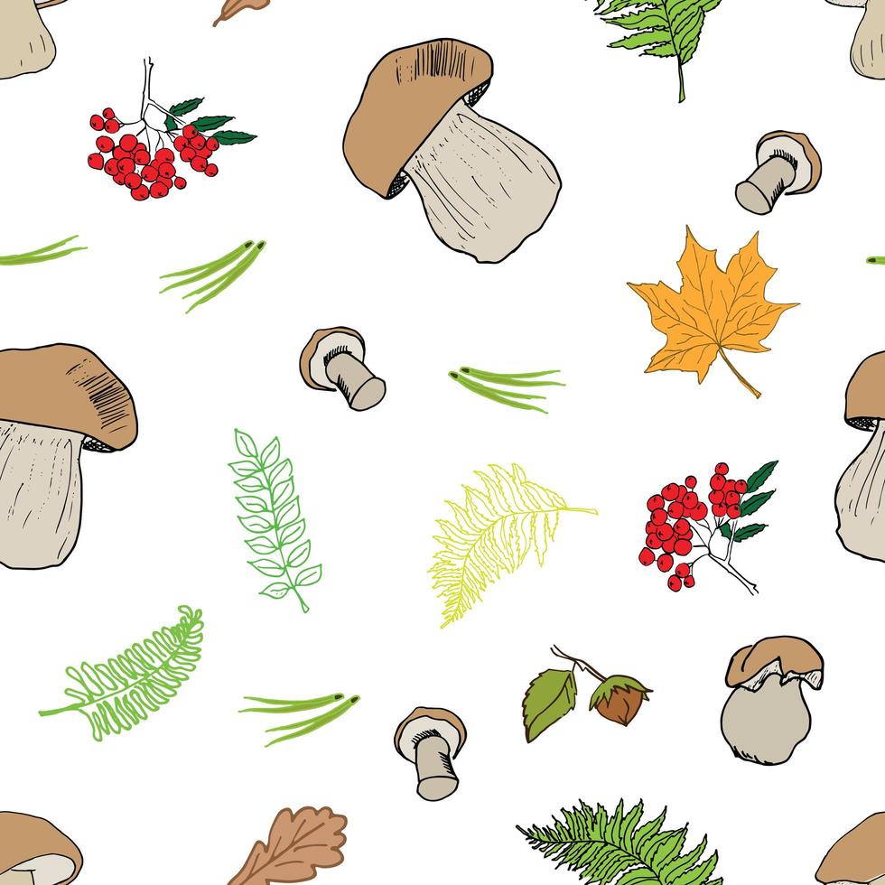 Mushroom hand drawn sketch Seamless Pattern. Vector Illustration