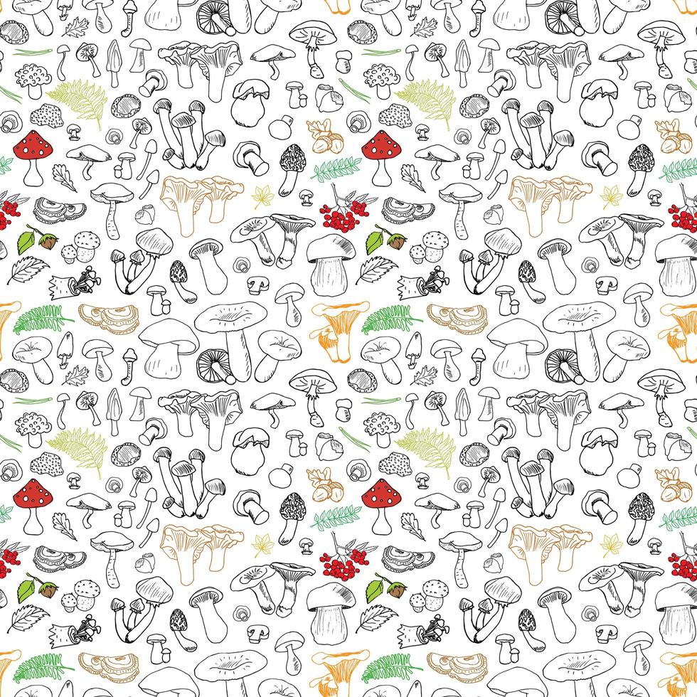 Mushroom hand drawn sketch Seamless Pattern. Vector Illustration.