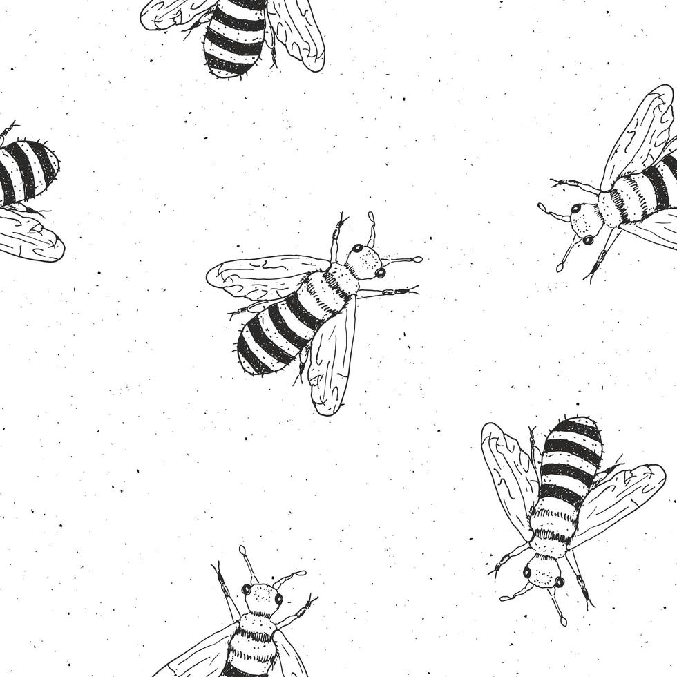 Bee hand drawn seamless pattern, monochrome background vector illustration