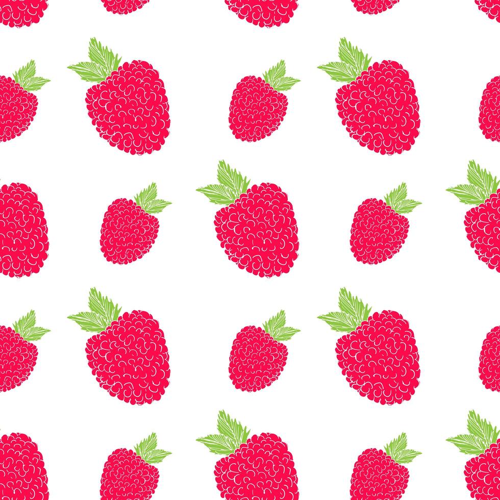 Fruit background Seamless pattern with hand drawn skech raspberry vector illustration