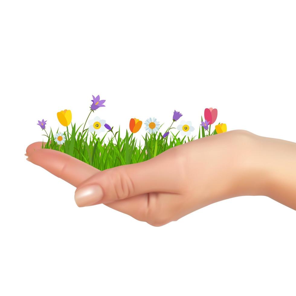 Grass and flowers in hand. Spring is coming background vector
