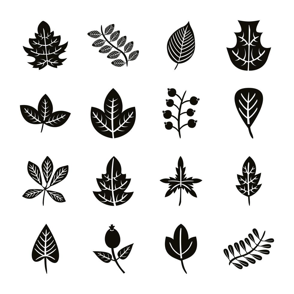 bundle of sixteen autumn leaves silhouette style icons vector