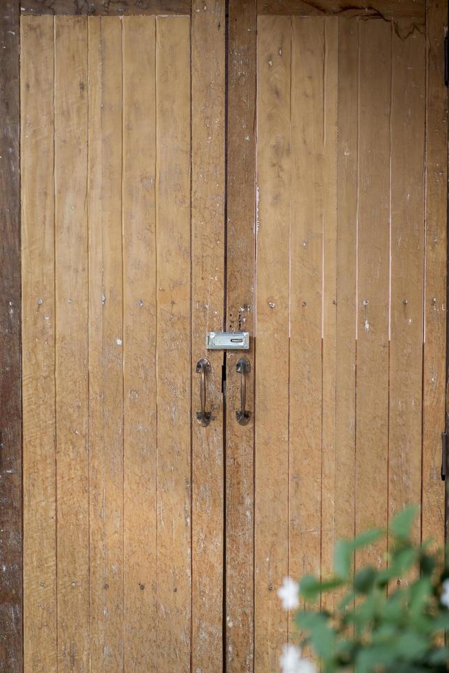 Wood door texture photo
