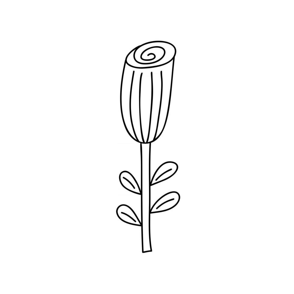 Vector stylized spring flower with monoline style