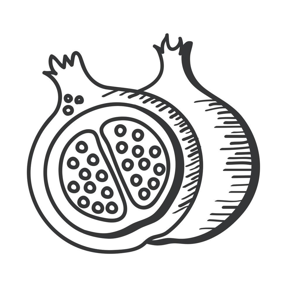 grenade fruit hand draw and line style icon vector design