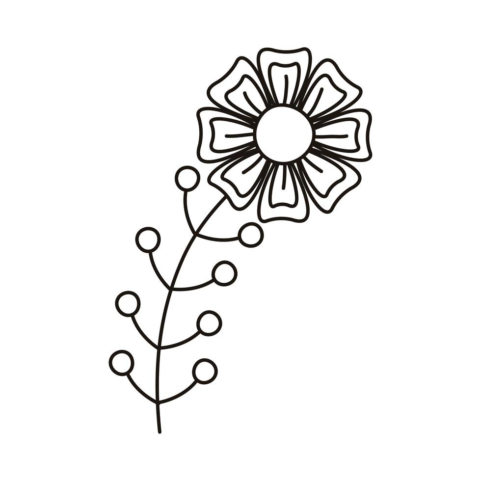 beautiful flower garden with stem and seeds line style vector