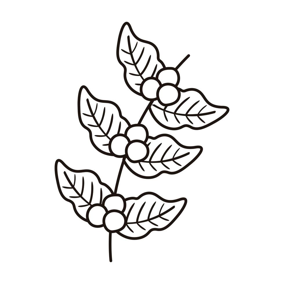 Nathaniel Ward frisør Opmuntring coffee plant grains and leafs nature line style icon 2483239 Vector Art at  Vecteezy