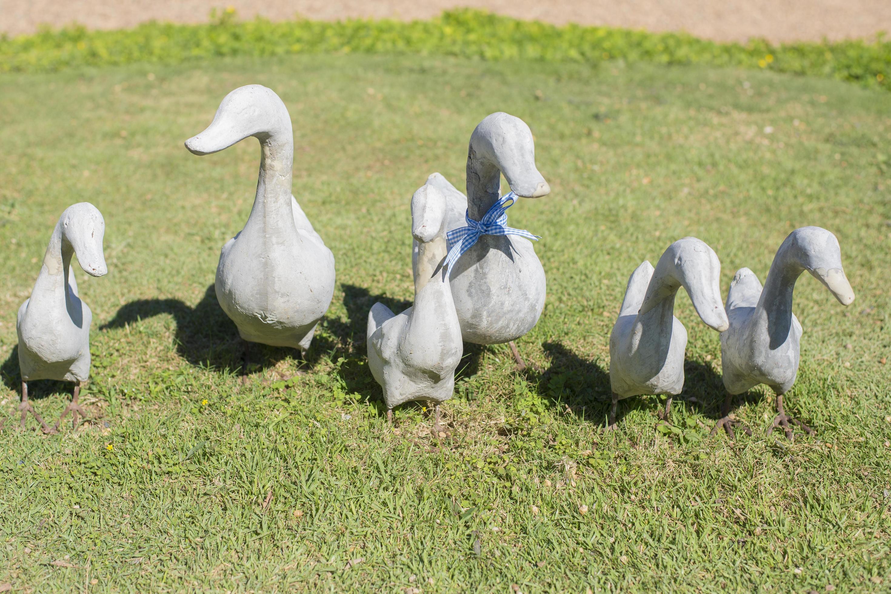 Duck garden ornaments 2484114 Stock Photo at Vecteezy