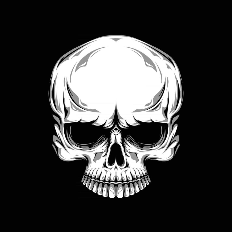 Skull without Chin Vector Artwork