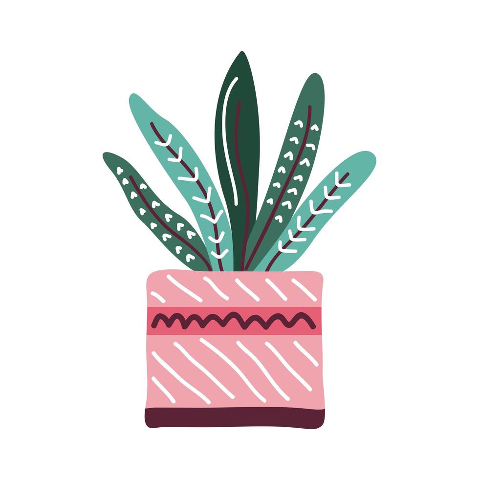 house plant in pot pink color with decoration scandinavian style vector