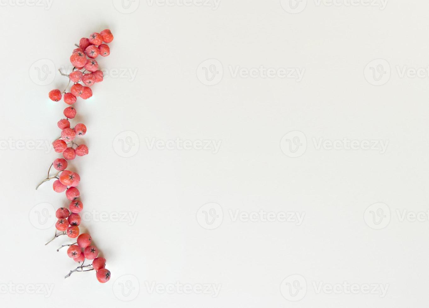 Branches of rowan on a beige background Flat lay with copy space photo
