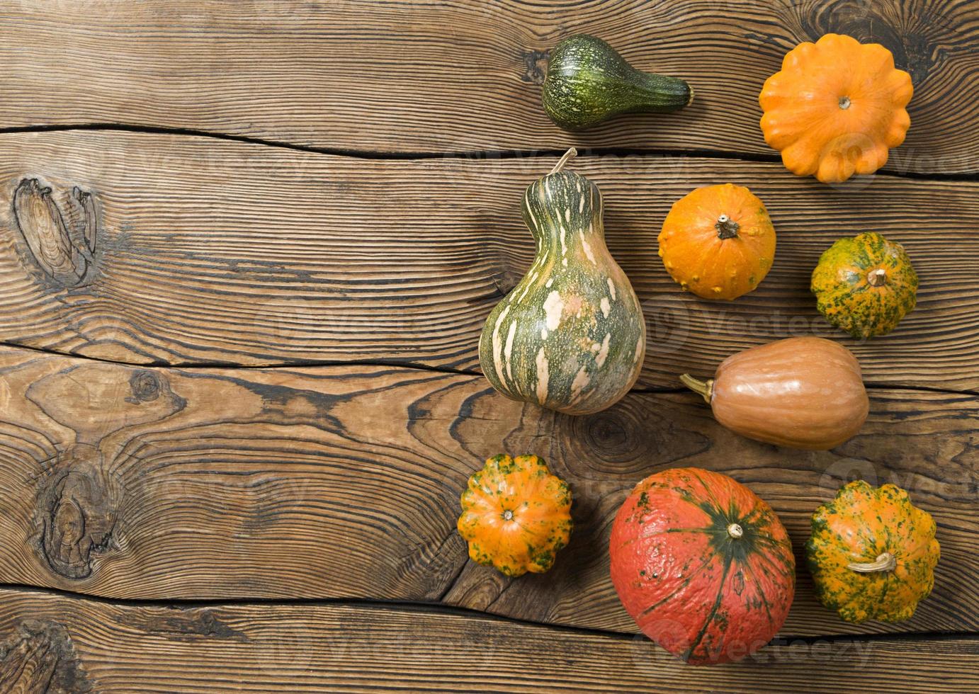 Variety of pumpkins on a wooden background Harvest concept flat lay with copy space photo