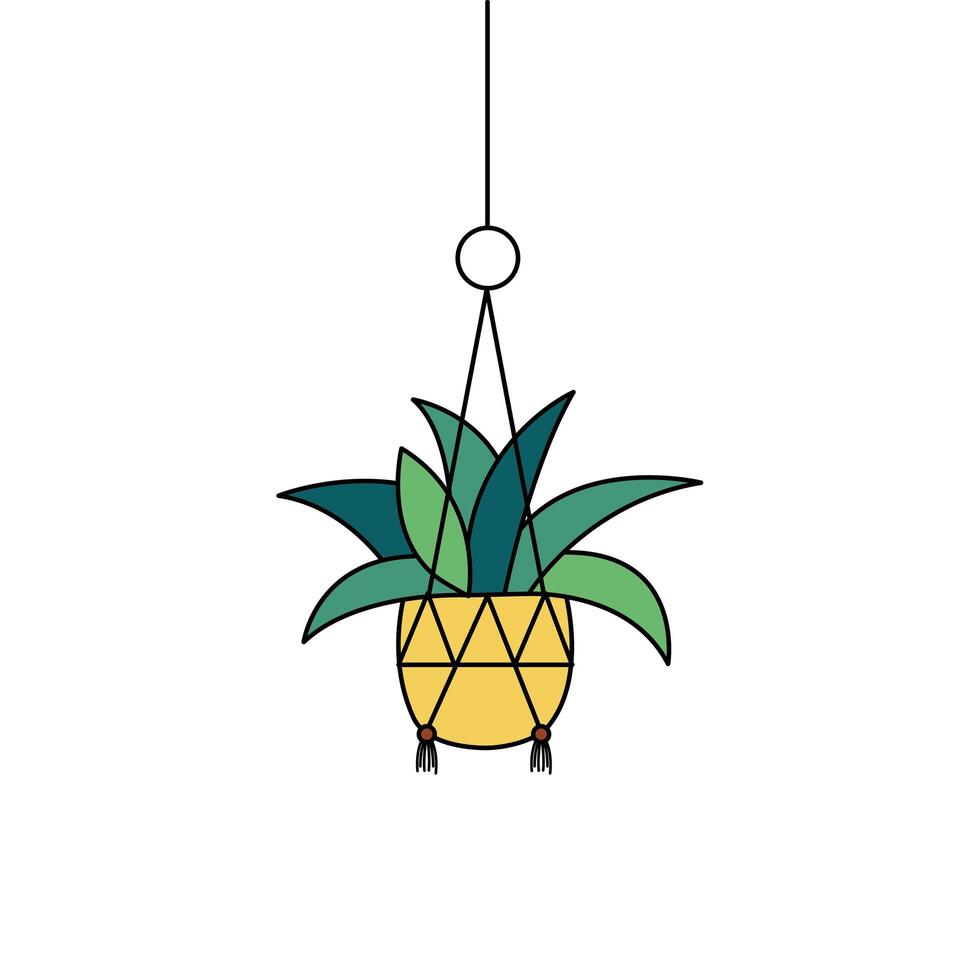 Hanging plant inside pot vector design