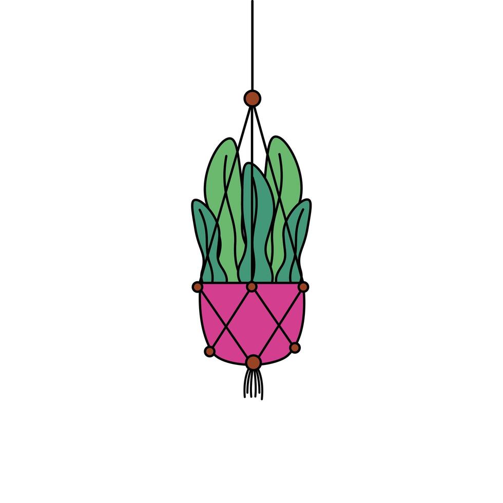 Hanging plant inside pot vector design