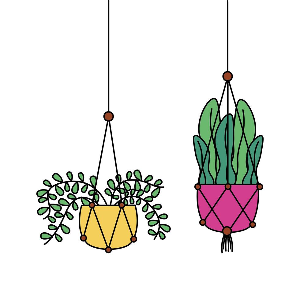 Hanging plants inside pots vector design
