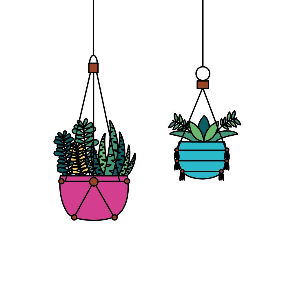 Hanging plants inside pots vector design