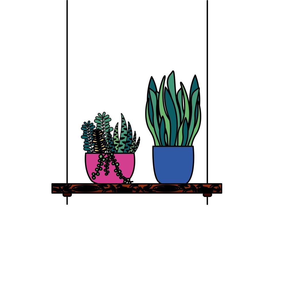 Hanging plants inside pots vector design