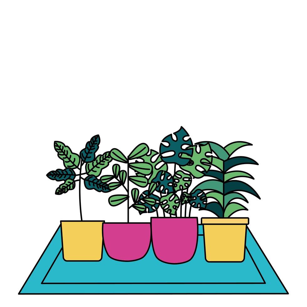 Isolated plants inside pots vector design