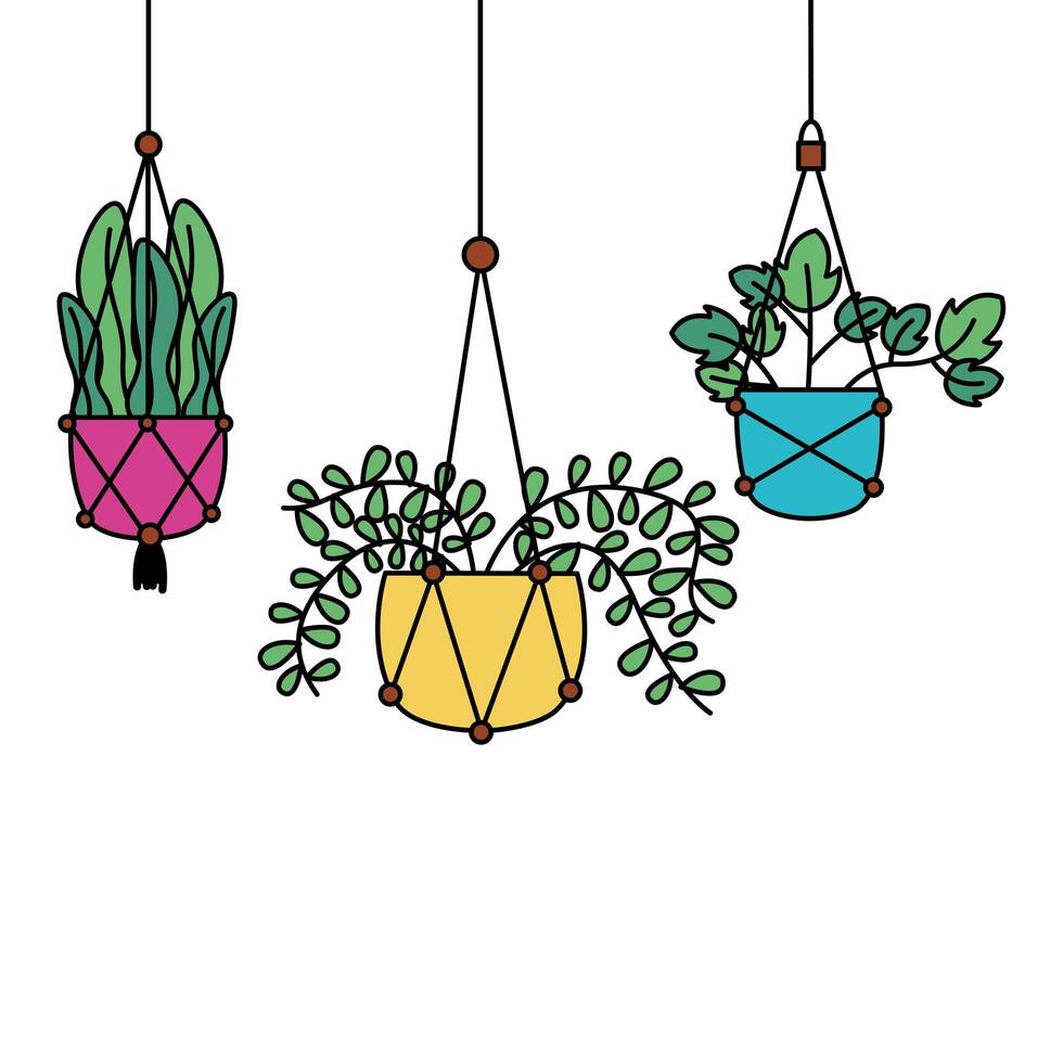 Hanging plants inside pots vector design