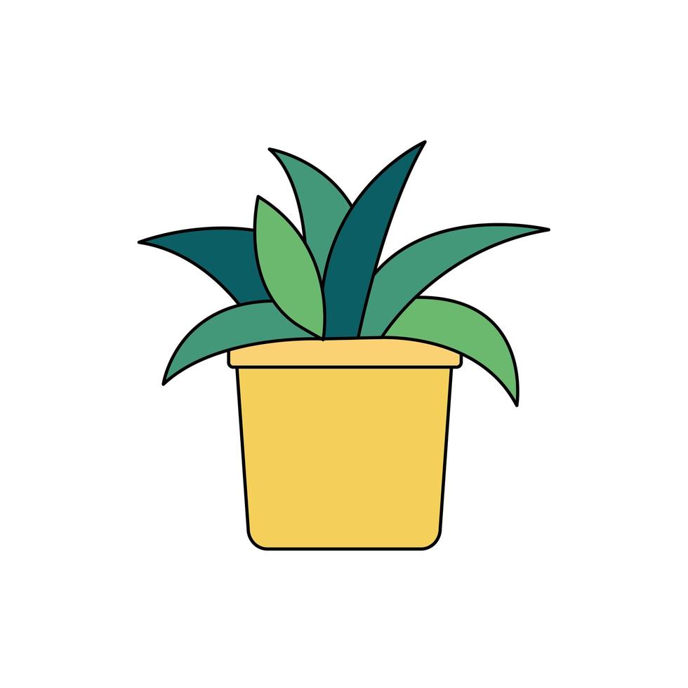 Isolated plant inside pot vector design