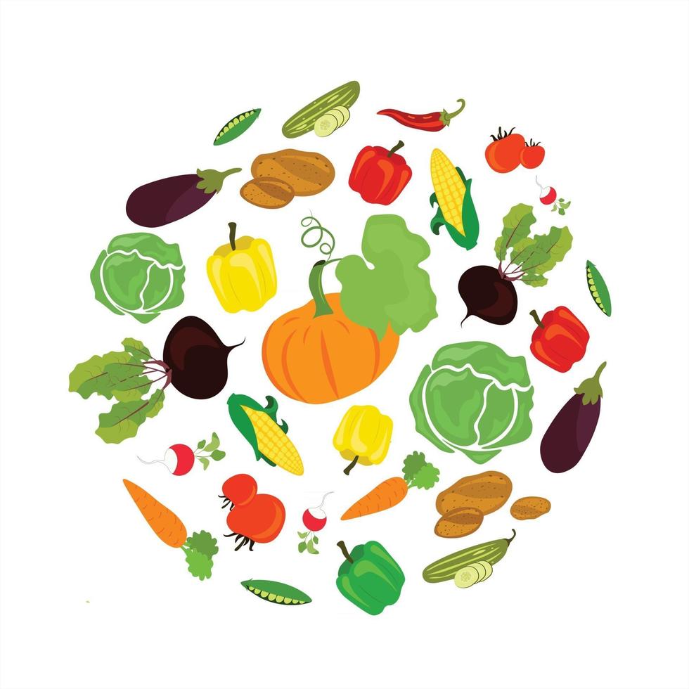 Vegetable set on a white background  Vector illustration