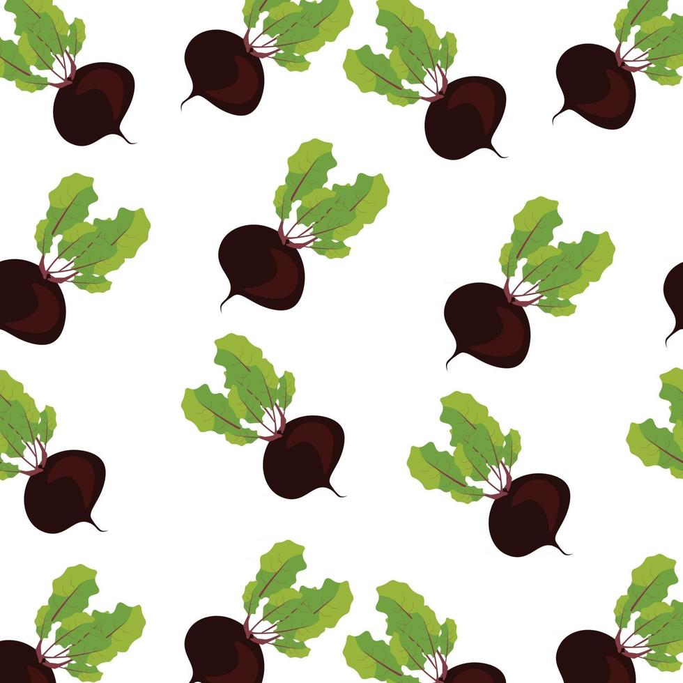 Vector seamless pattern with flat colorful beet Vector vegetable