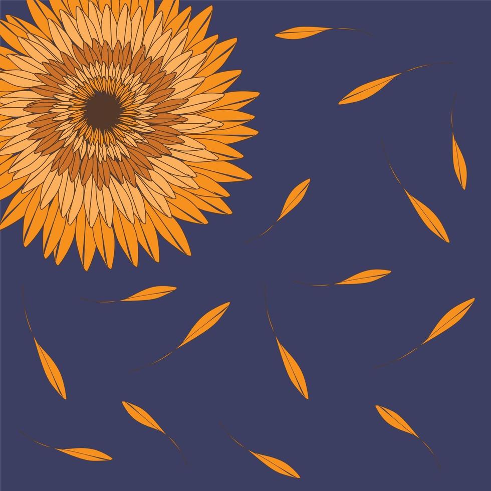 fondo de girasol y pétalos vector