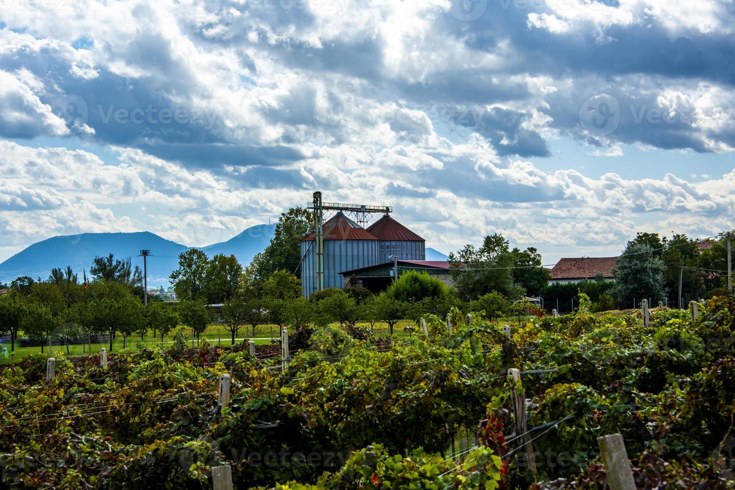 silos and farm photo