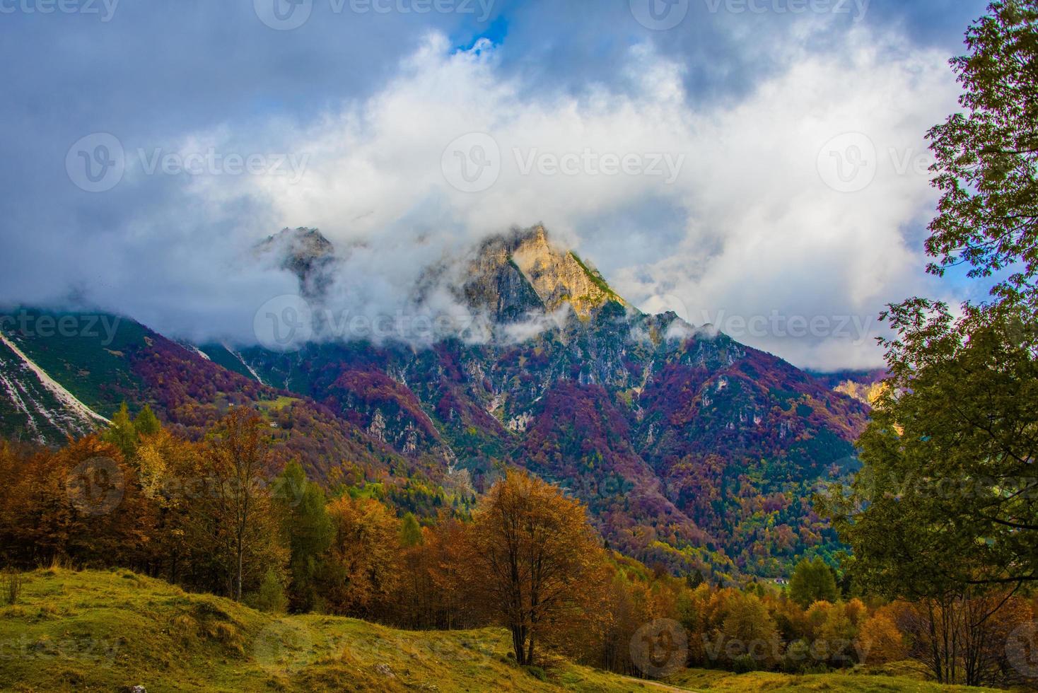 foliage and mountains six photo