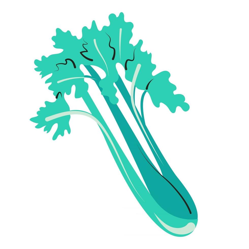 Juicy celery isolated vector illustration Farm greens