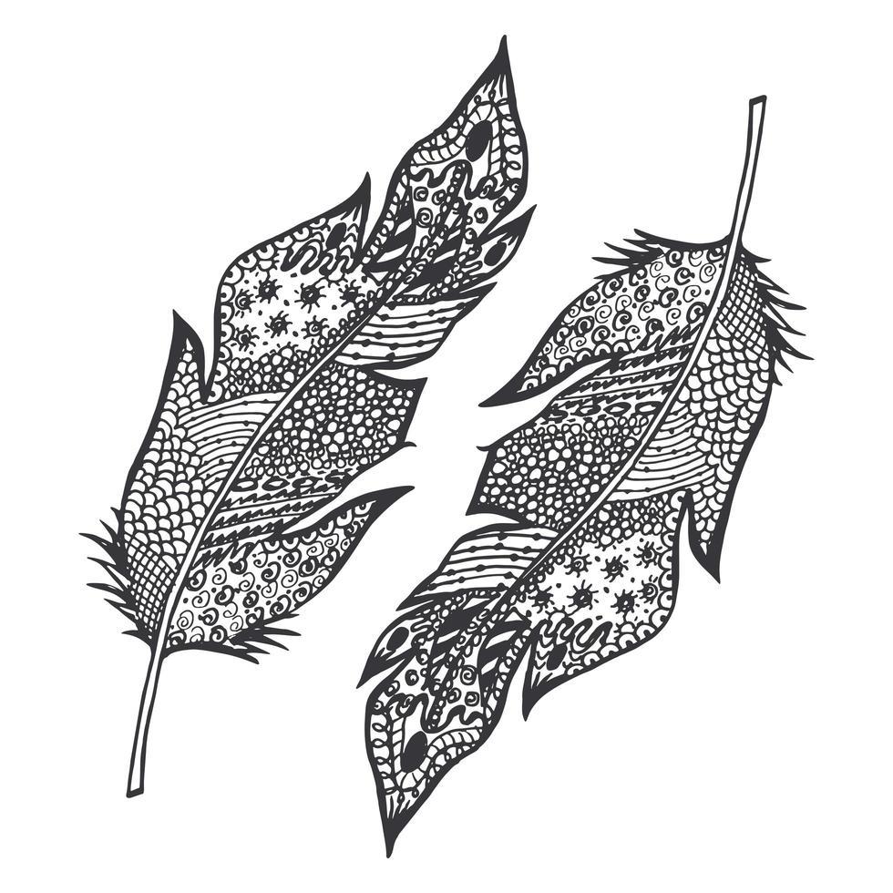 Boceto dibujado a mano ornamental de plumas ilustración vectorial con adorno aislado vector